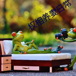 权相(xiāng)养妻日常