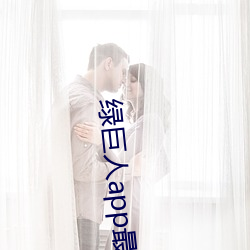 绿(綠)巨人(人)app最新下载(載)网址