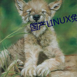 国产LINUX免费