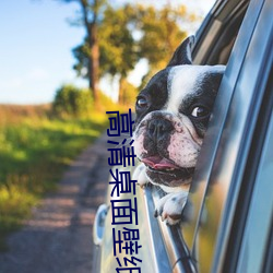 高清桌面壁纸下载 （祸枣灾梨）