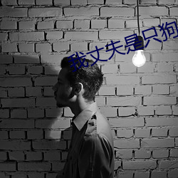 我丈夫是只狗全部阅读