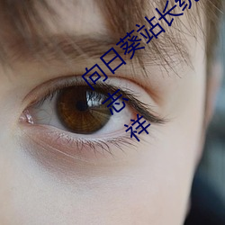 向日葵站长统计下载安装向日葵站长统计罗志祥 （磊落不羁）