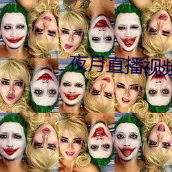 夜月直(zhí)播视(shì)频