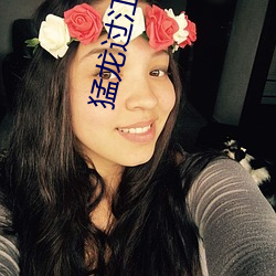 猛龙过江(jiāng)小说