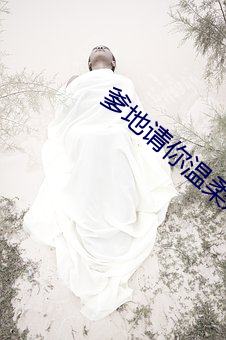 爹地(地)请(請)你温柔点 小说