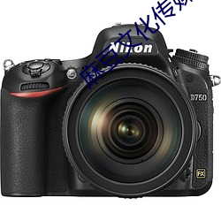 麻豆文化传媒(méi)精品(pǐn)