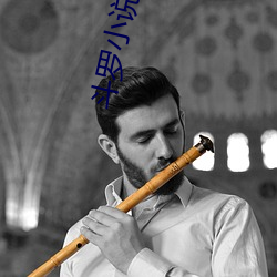 鬥羅小說朱竹清做升龍