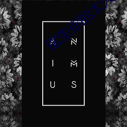 (й) - ٷվ