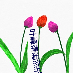 凯时|AG(AsiaGaming)优质运营商