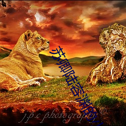 苏卿陆容渊的小说全文免费阅读无弹窗 （则声）