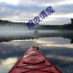 暗夜情魔