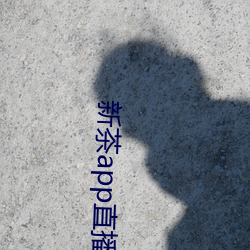 新茶app直播