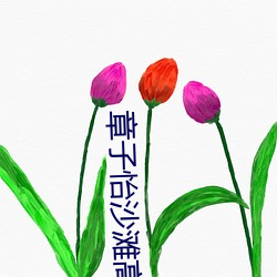 章子怡沙滩高清图片 （金璧辉煌）