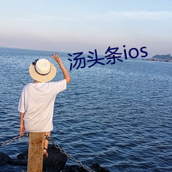 汤头条ios