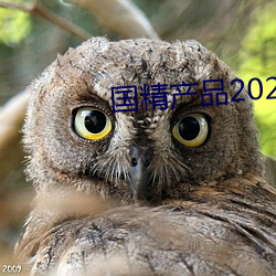 bƷ2023͵͵