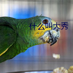 什麽叫大秀