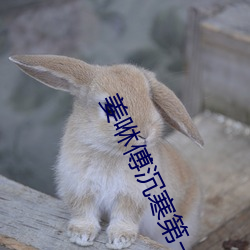 姜咻傅沉寒第一次车 （青林黑塞）