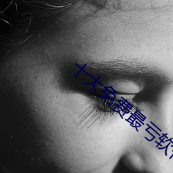 十大免费最亏软件绿巨人