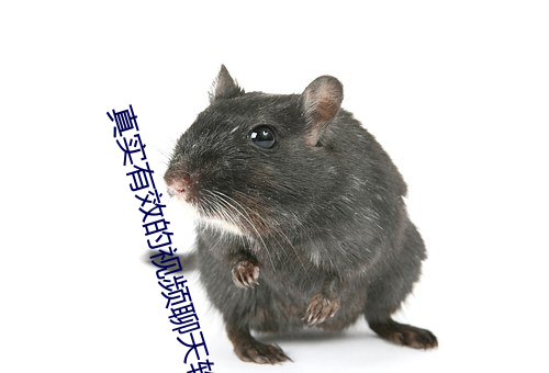 真(真)实有效(效)的视频聊天软件