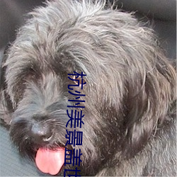 杭州美(měi)景盖世无双(shuāng)