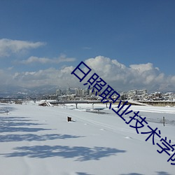 日照职业技术学院招聘