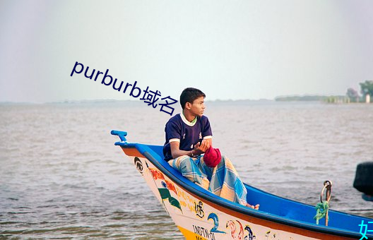 purburb域名