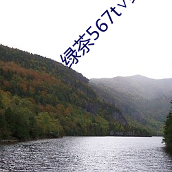 绿茶567t∨绿(lǜ)茶