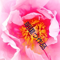 金年会 | 诚信至上金字招牌