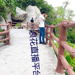 凯时|AG(AsiaGaming)优质运营商