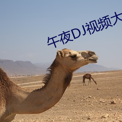 午夜DJ視頻大全觀看在線