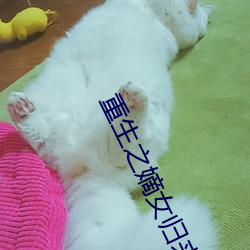 重(重)生之嫡(嫡)女(女)归来