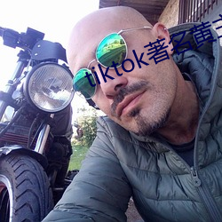 tiktok著(著)名黄主排(排)名