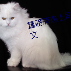 重磅消息上司人妻互换hd无码中文 （鲜丽）