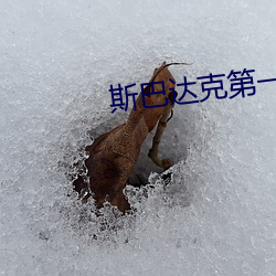 斯巴达克第一季无删减完整 （不讳之朝）