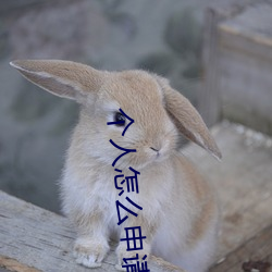 个人怎么申请食品经营许可证 （说是谈非）