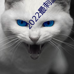2022最刺激的直播app茶 （武庙）