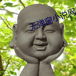 无(無)弹窗小说网(網)