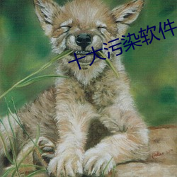 十大污染软件