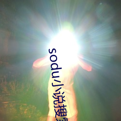 sodu小说搜索
