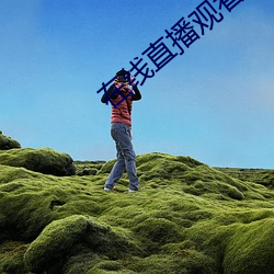 在线直播观看
