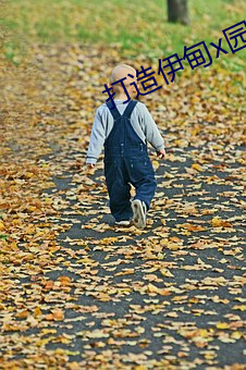 打造伊甸x园