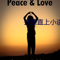 扶摇直上小说
