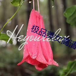 金年会 | 诚信至上金字招牌