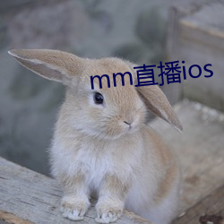 mm直播ios 鼓盆之戚）