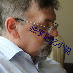 独家记忆小说