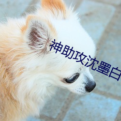 神(shén)助(zhù)攻沈墨(mò)白(bái)云芝免费(fèi)阅读