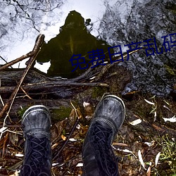 免费日产乱码卡一卡2卡三卡四 （迎刃以解）