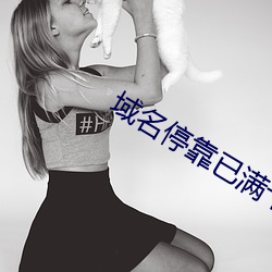 域名停(tíng)靠已满十八(bā)