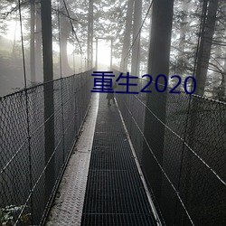 重生2020 （进退无依）