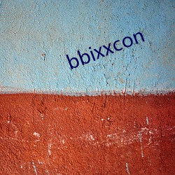 bbixxcon （启宠纳侮）